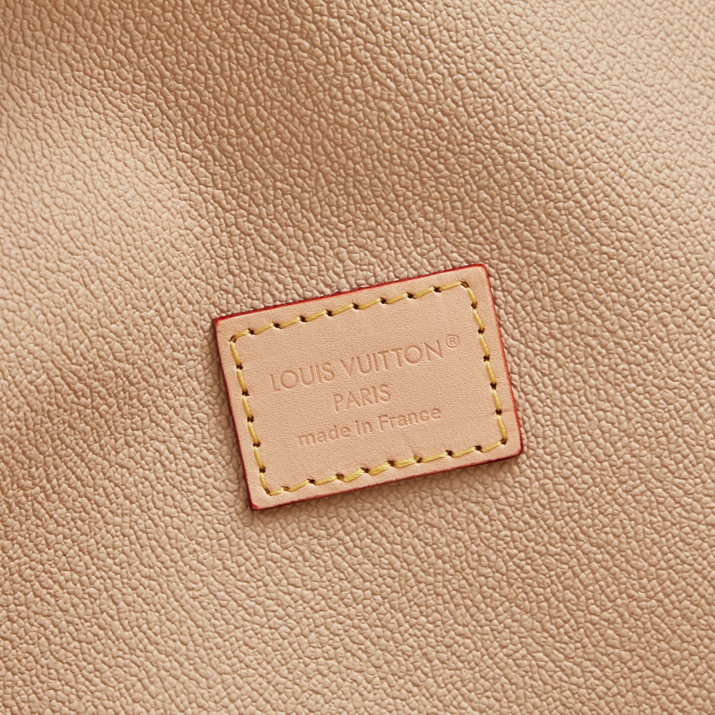 Louis Vuitton Neverwoof Medium Pet Carrier in Monogram Coated Canvas - Image 8