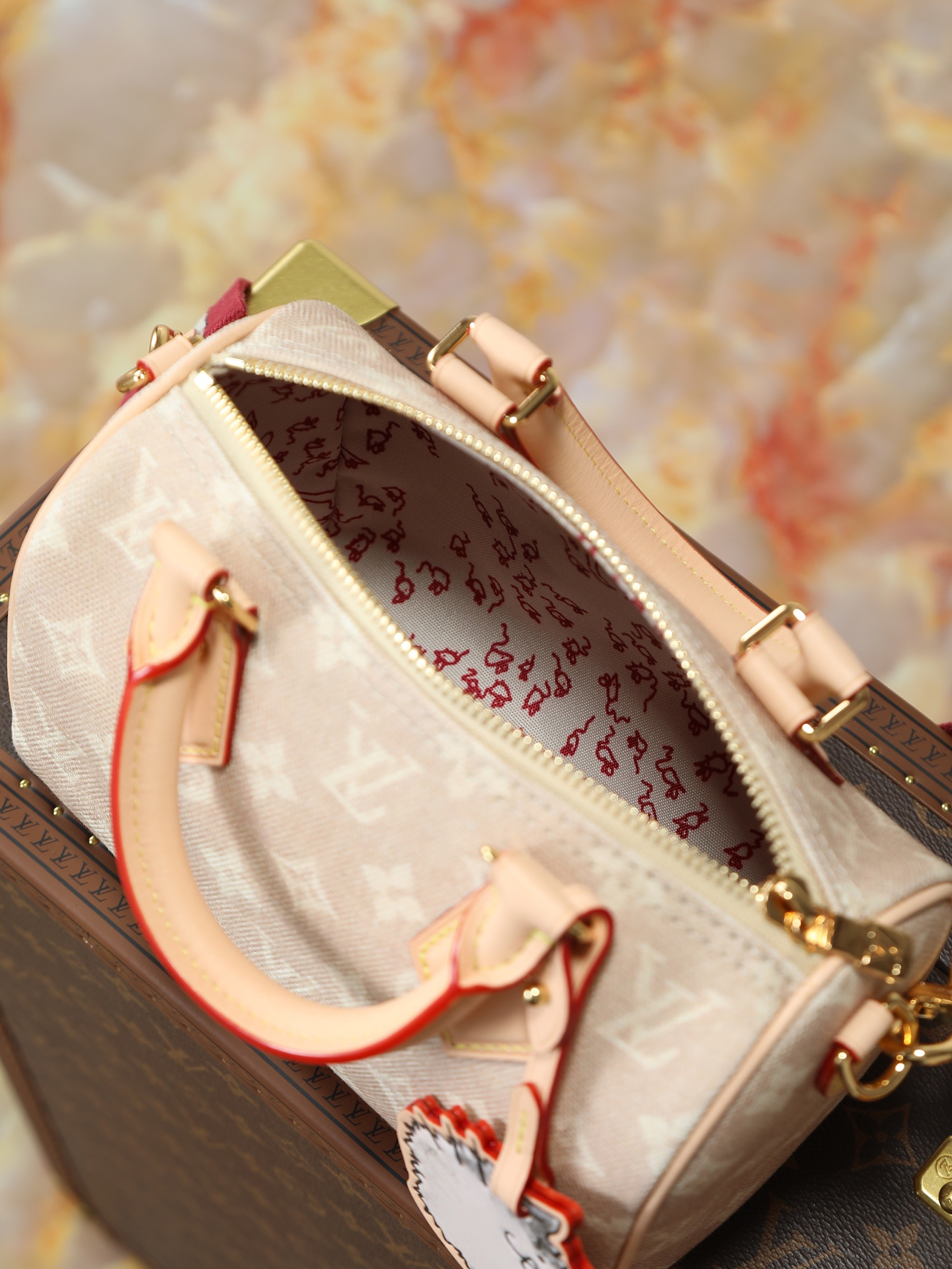 Louis Vuitton Speedy 20 Bandoulière Meowgram Handbag - Image 8