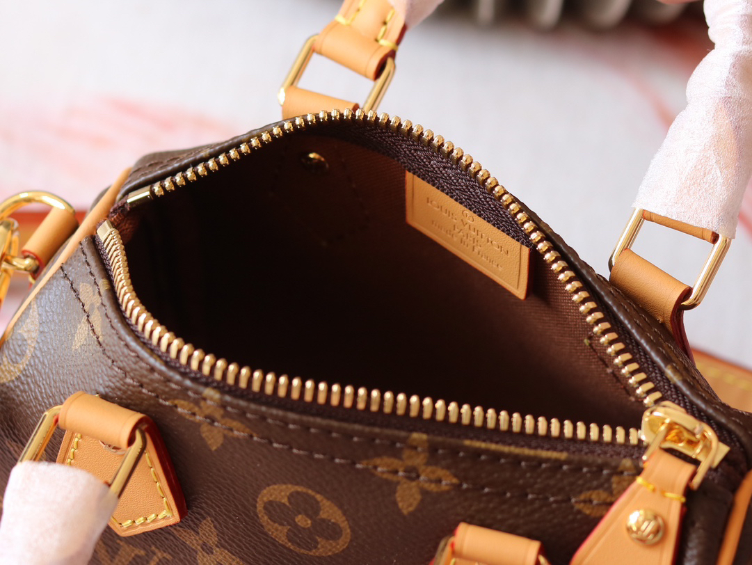 Louis Vuitton Nano Speedy Monogram Canvas Crossbody Bag - Image 8