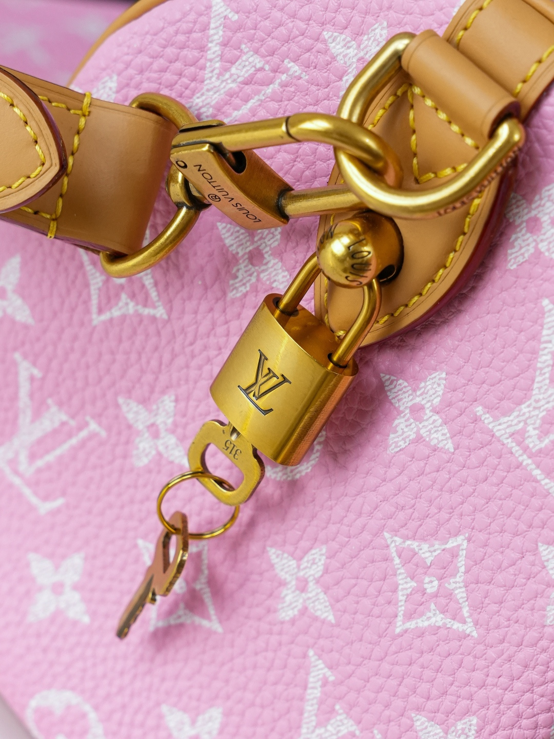 Louis Vuitton Speedy Bandoulière 25 Monogram Leather Handbag - Image 8