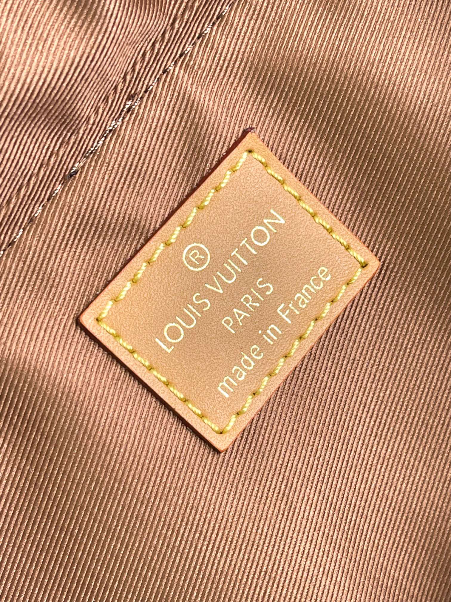 Louis Vuitton Montsouris Backpack in Monogram Dust Canvas - Image 8