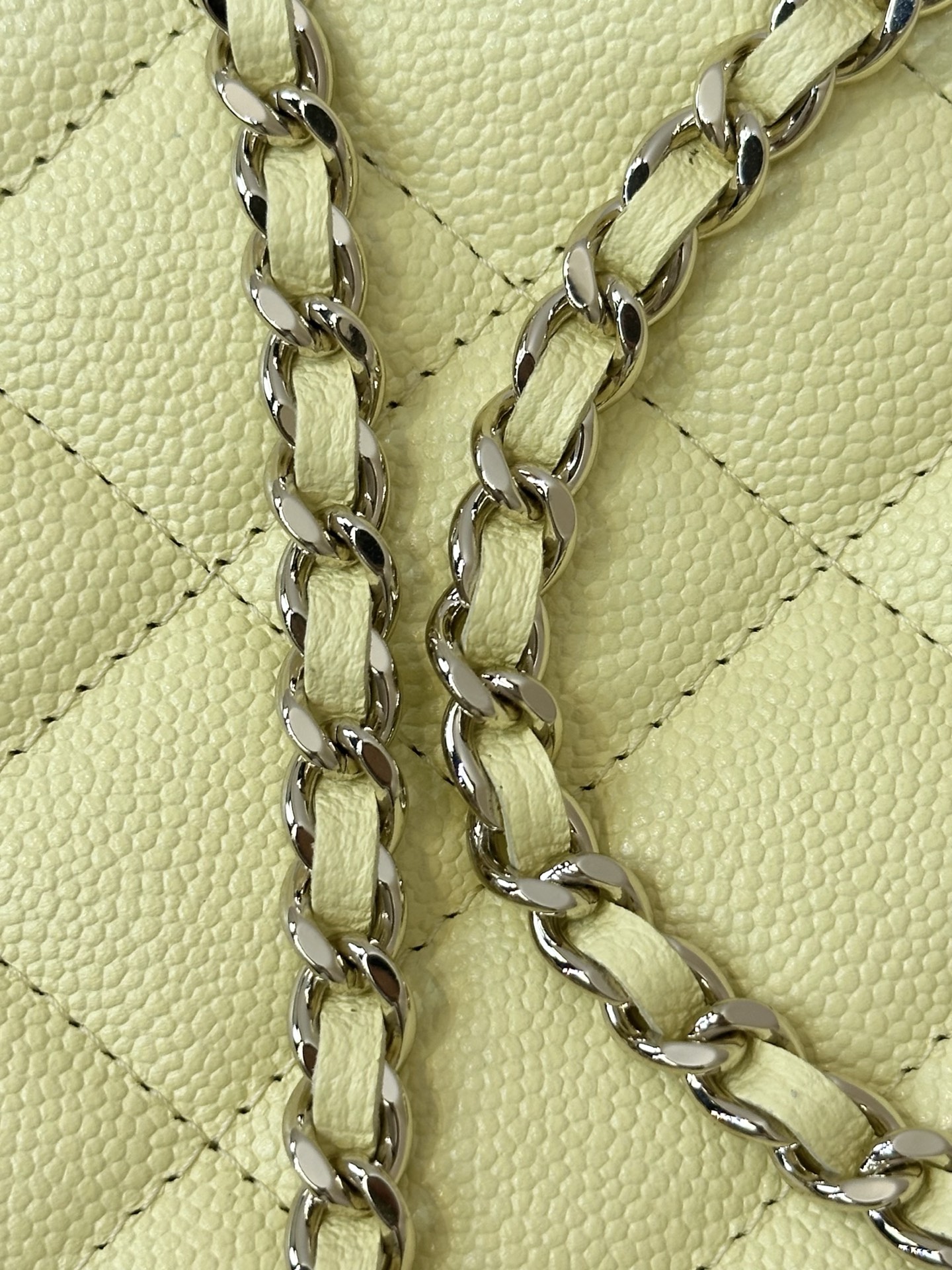 Chanel 26S Spring/Summer Half-Moon Bag - Image 8