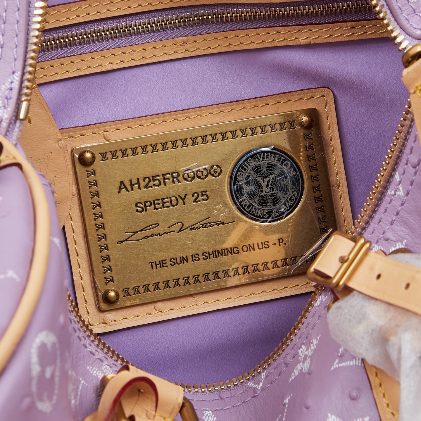 Louis Vuitton Speedy Bandouliere 25 Monogram Leather Crossbody Bag - Image 8