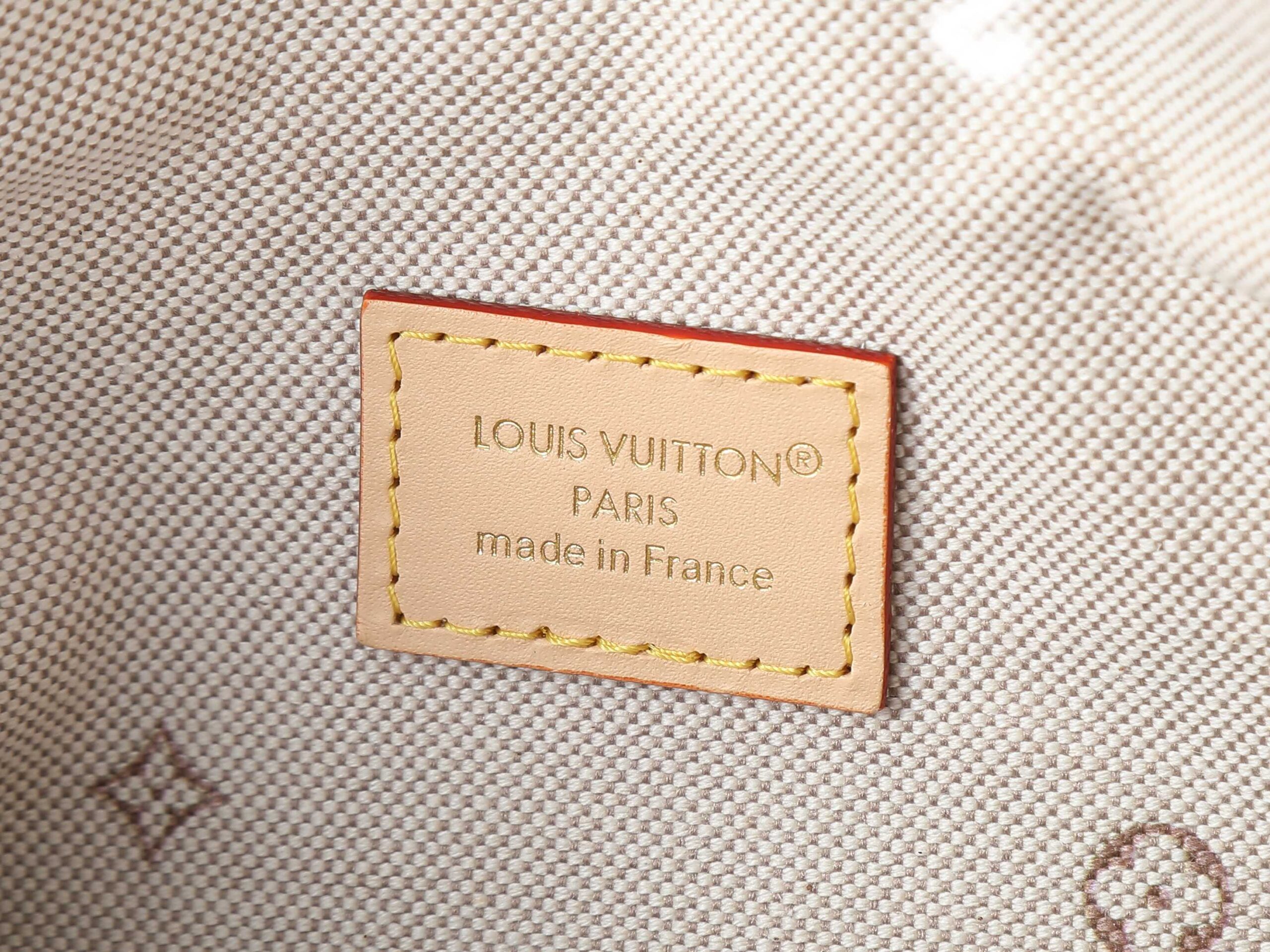 Louis Vuitton Pochette Mia Monogram Emblème Shoulder Bag - Image 9