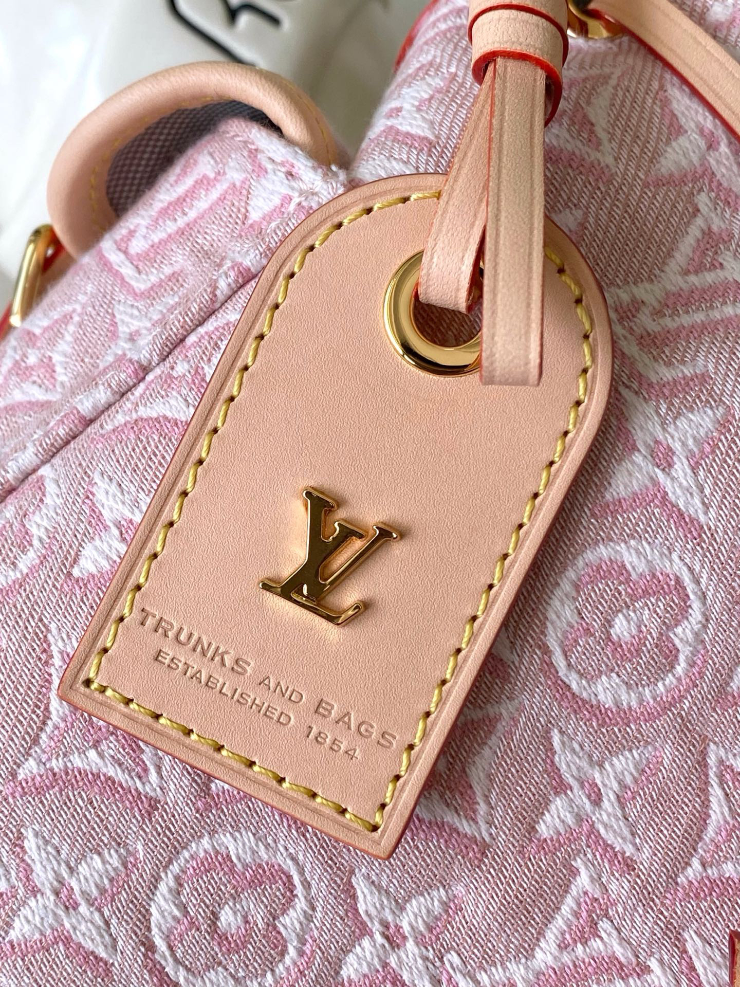 Louis Vuitton Odyssée Small Crossbody Bag M29974 in Pink Monogram Emblème Canvas - Image 9