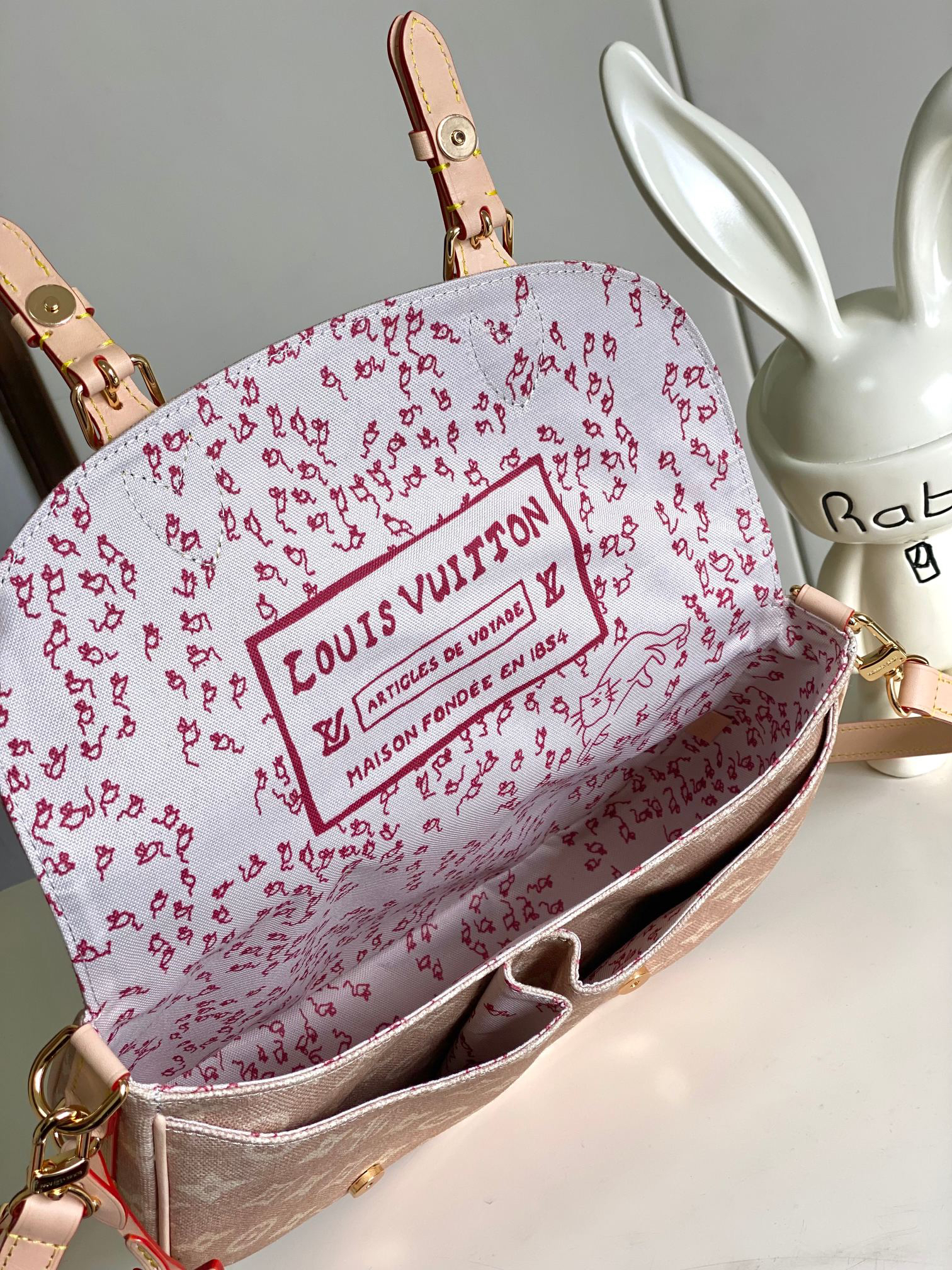 Louis Vuitton Escape Meowgram Canvas Crossbody Bag - Image 9