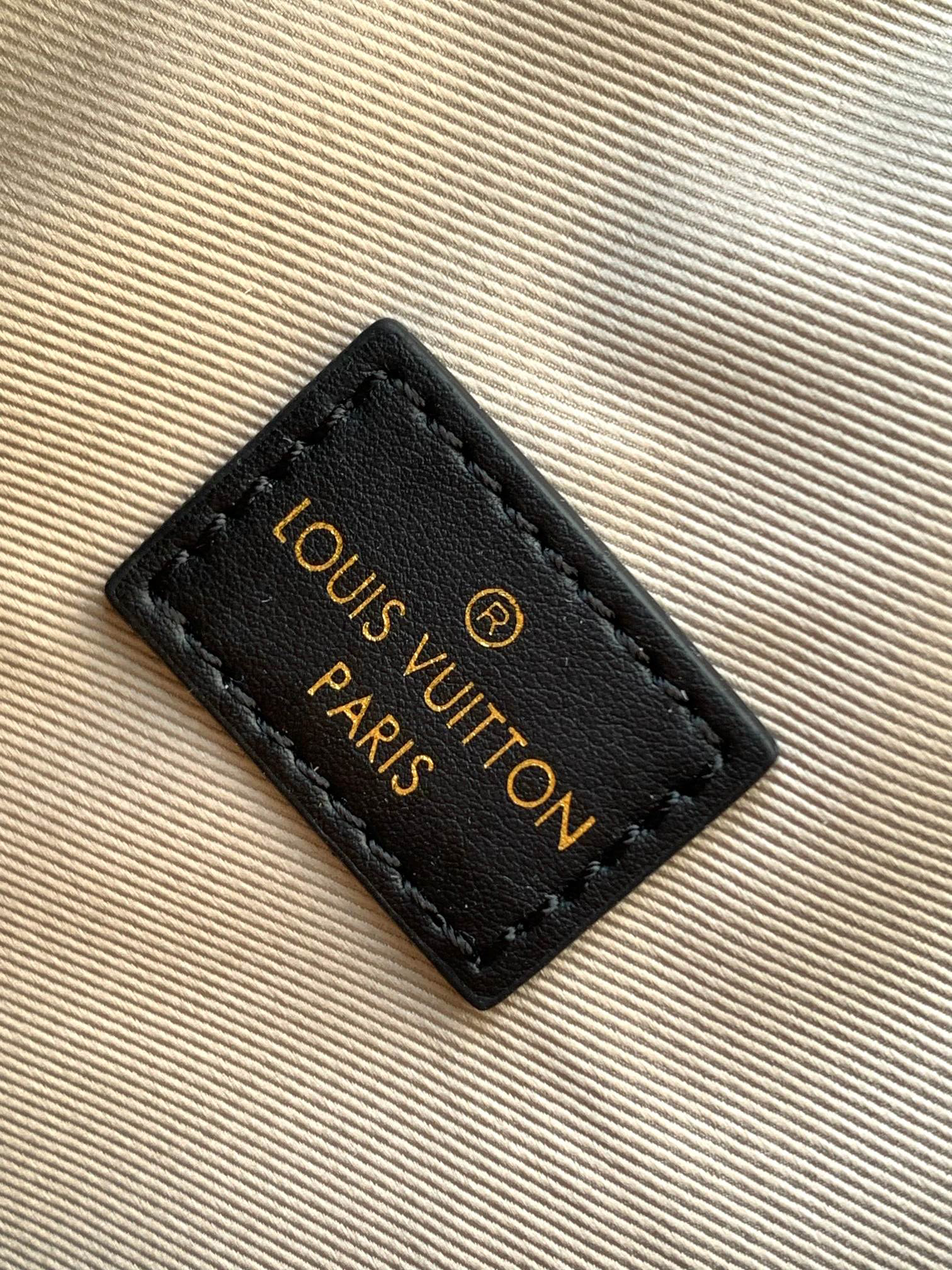 Louis Vuitton M23080 Monogram Embroidered Bucket Bag - Image 9