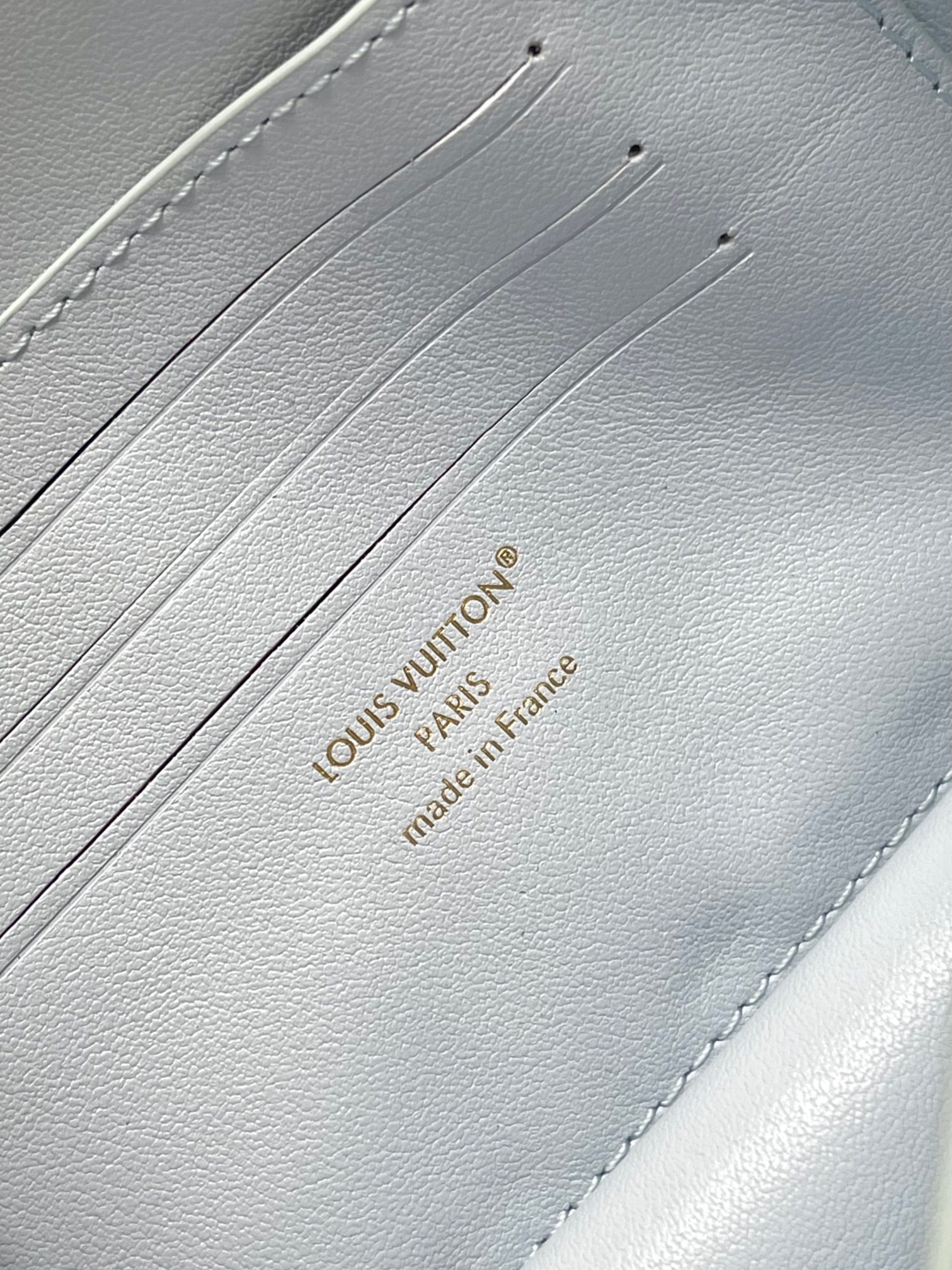 Louis Vuitton LV Bloom Wallet on Chain Crossbody Bag - Image 9