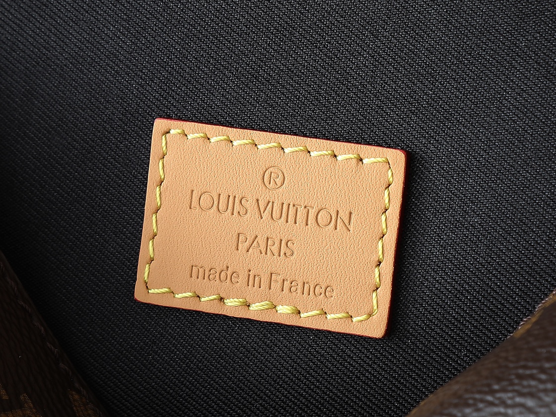 Louis Vuitton Nano Diane Monogram Canvas and Leather Bag - Image 9