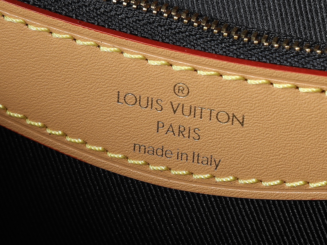 Louis Vuitton Diane Monogram Canvas Handbag M45985 - Image 9