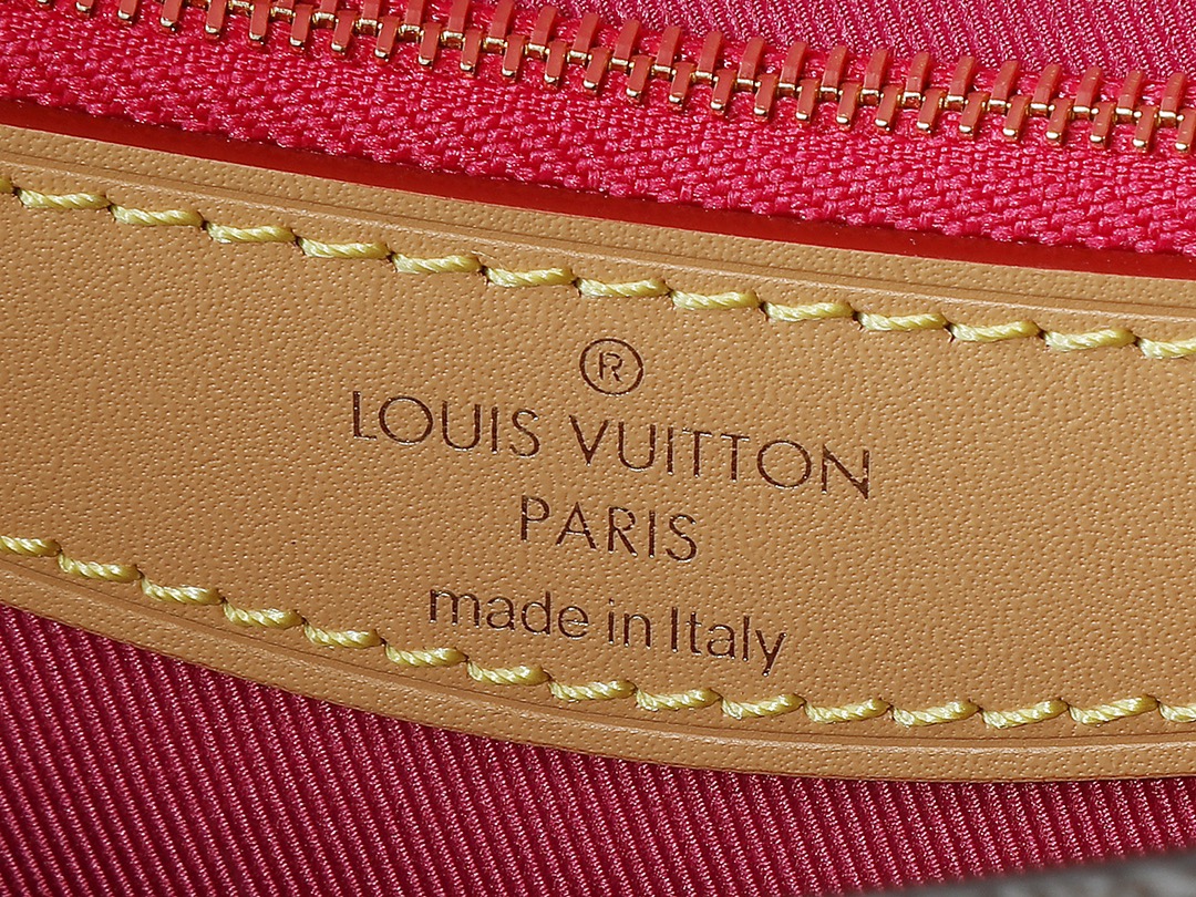 Louis Vuitton Diane Monogram Shoulder Bag M46049 - Image 9