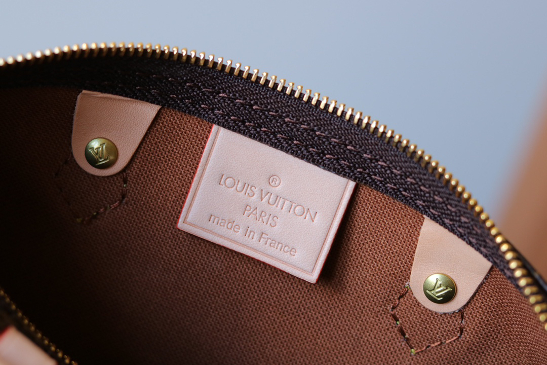 Louis Vuitton Nano Speedy Monogram Canvas Crossbody Bag - Image 9