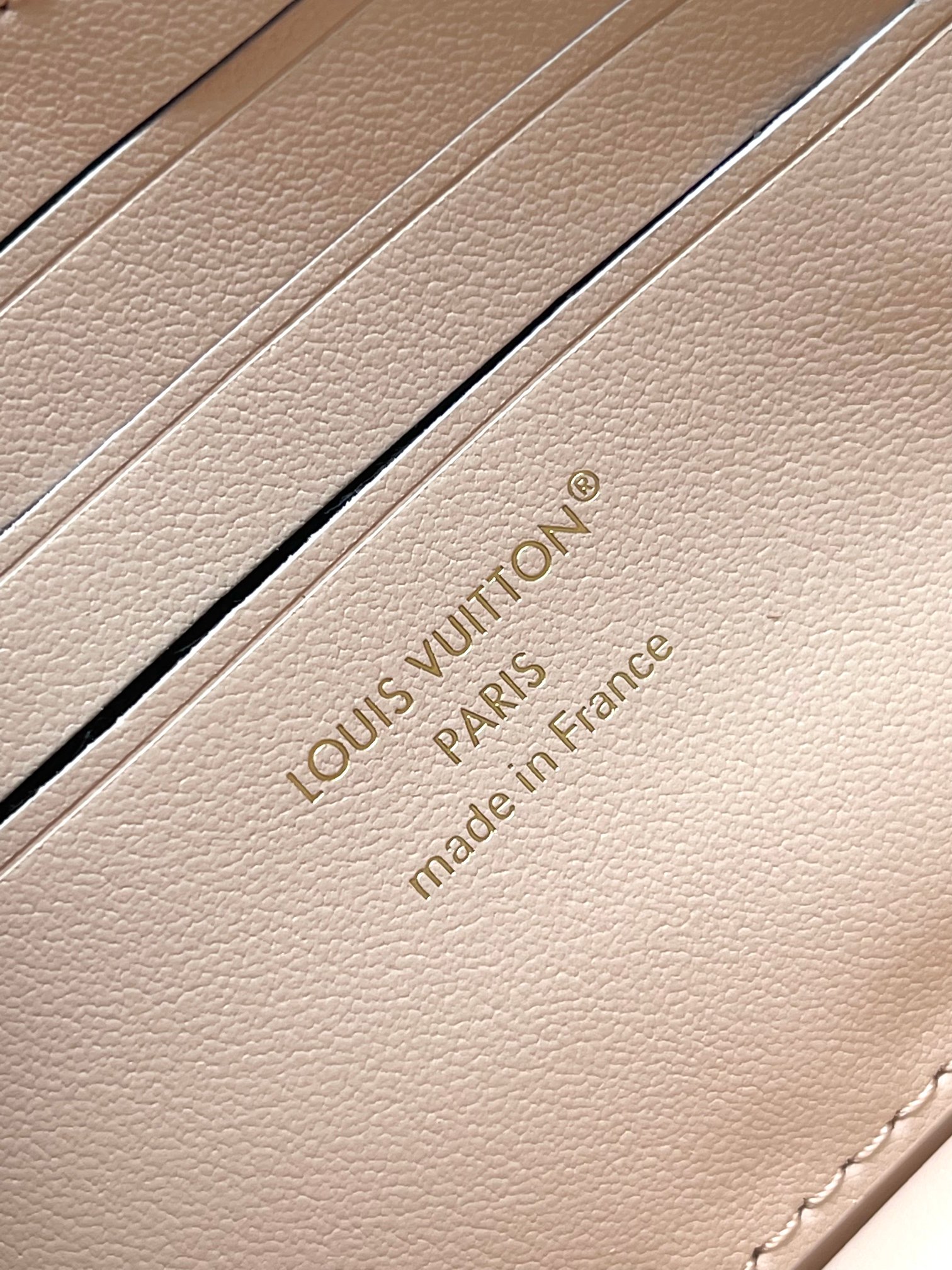 Louis Vuitton LV Bloom Wallet on Chain - Image 9