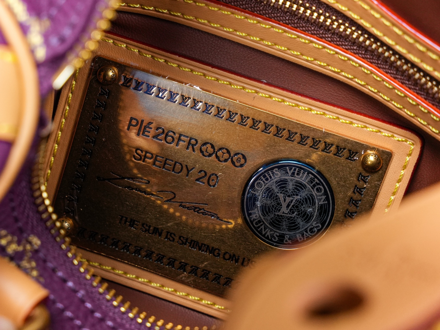 Speedy Bandoulière 20 Handbag - Image 9