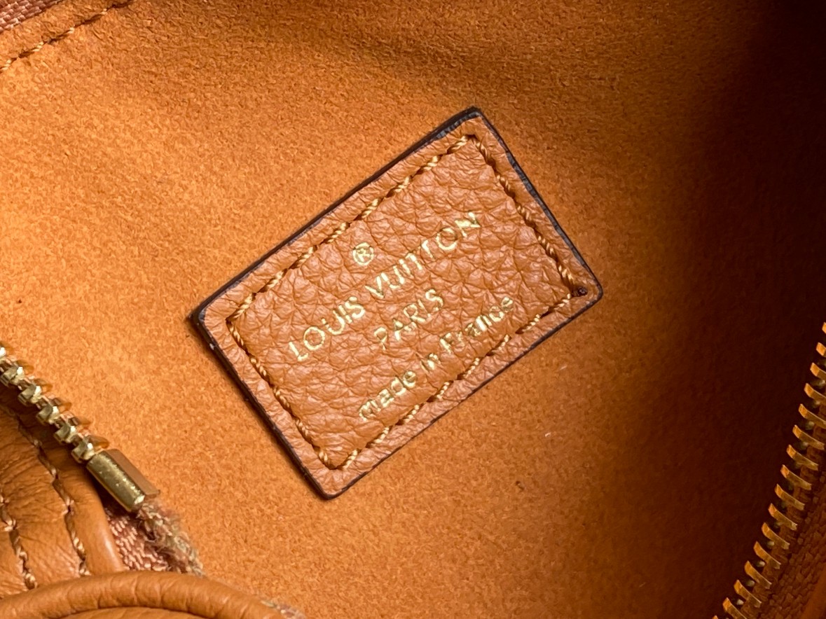 Nano Speedy Monogram Canvas Crossbody Bag - Image 9