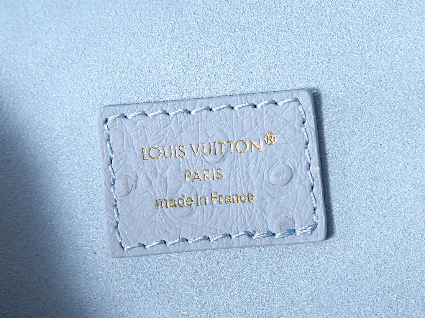 Louis Vuitton N85806 Blue Ostrich-Pattern Leather Crossbody Bag - Image 9