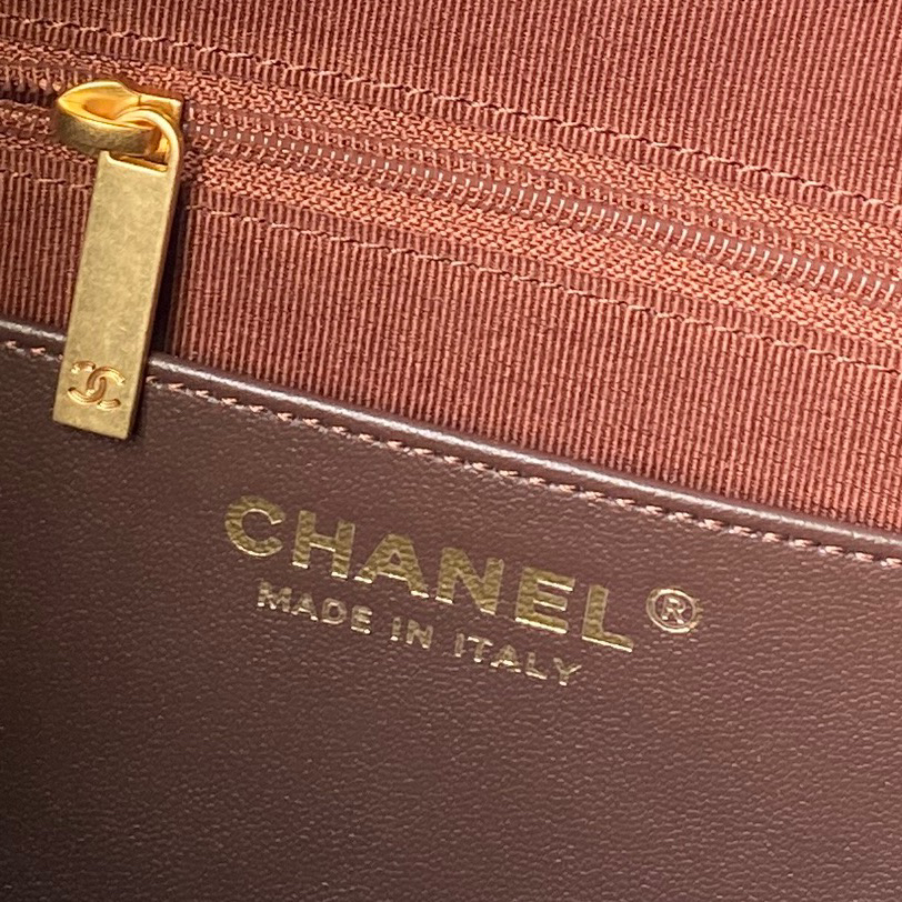 Chanel 26C Early Spring Collection Hobo Bag AS5970 - Image 9