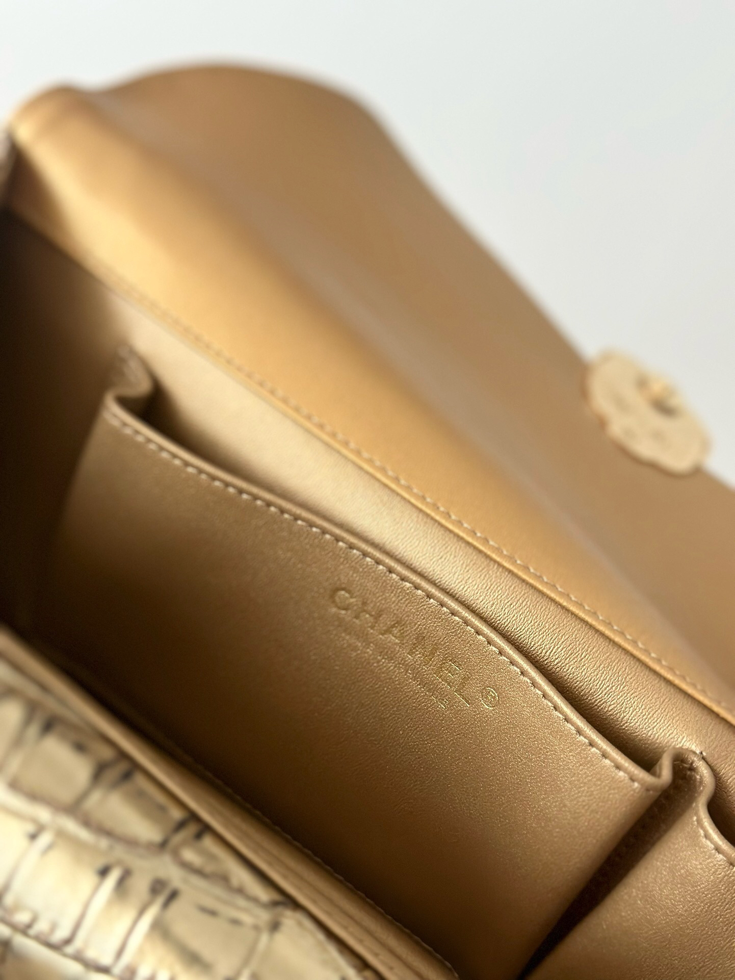 Chanel Classic Crocodile Embossed Evening Clutch Bag in Gold - Image 9