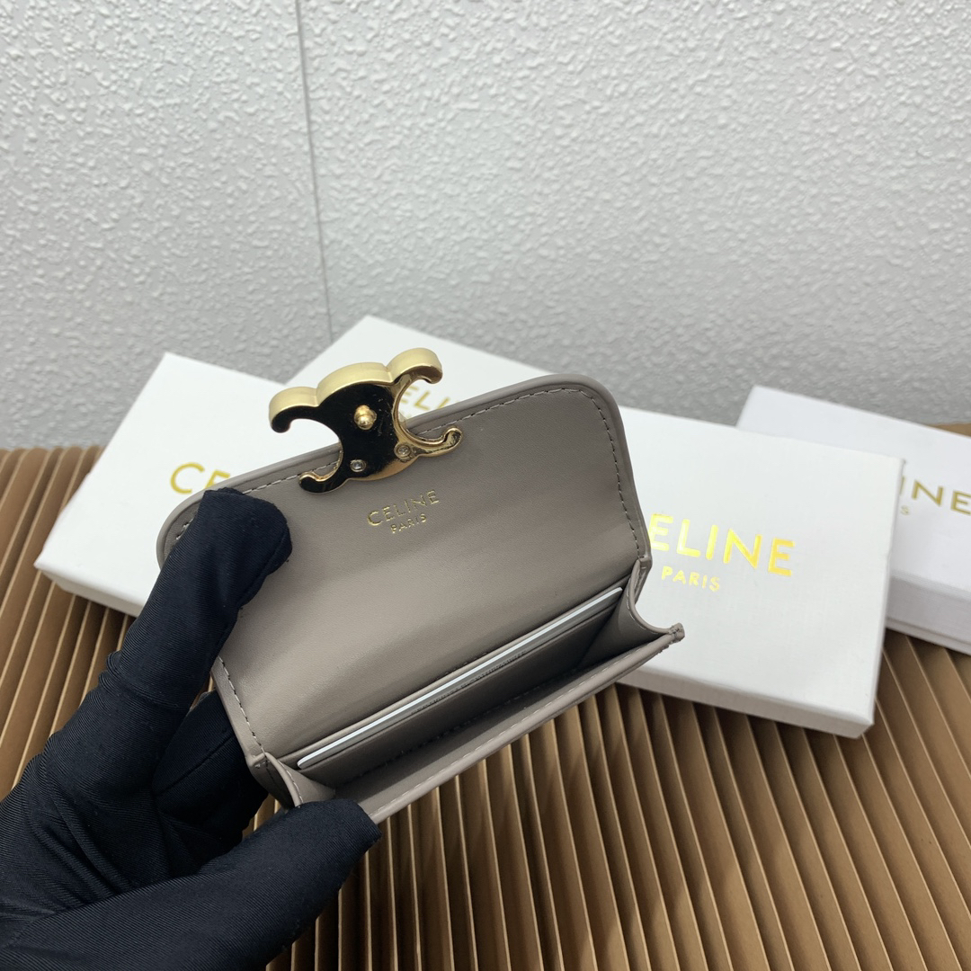 Celine Triomphe Canvas Card Holder - Image 9