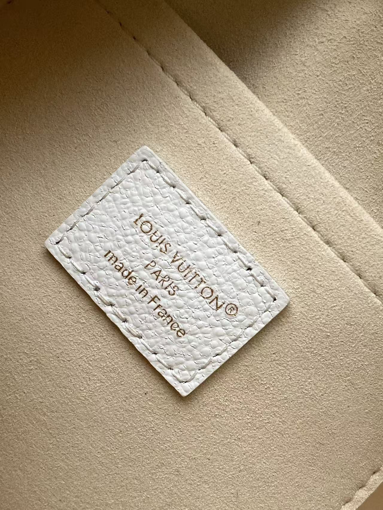 Louis Vuitton Speedy Bandoulière 20 Monogram Empreinte Bag - Image 9