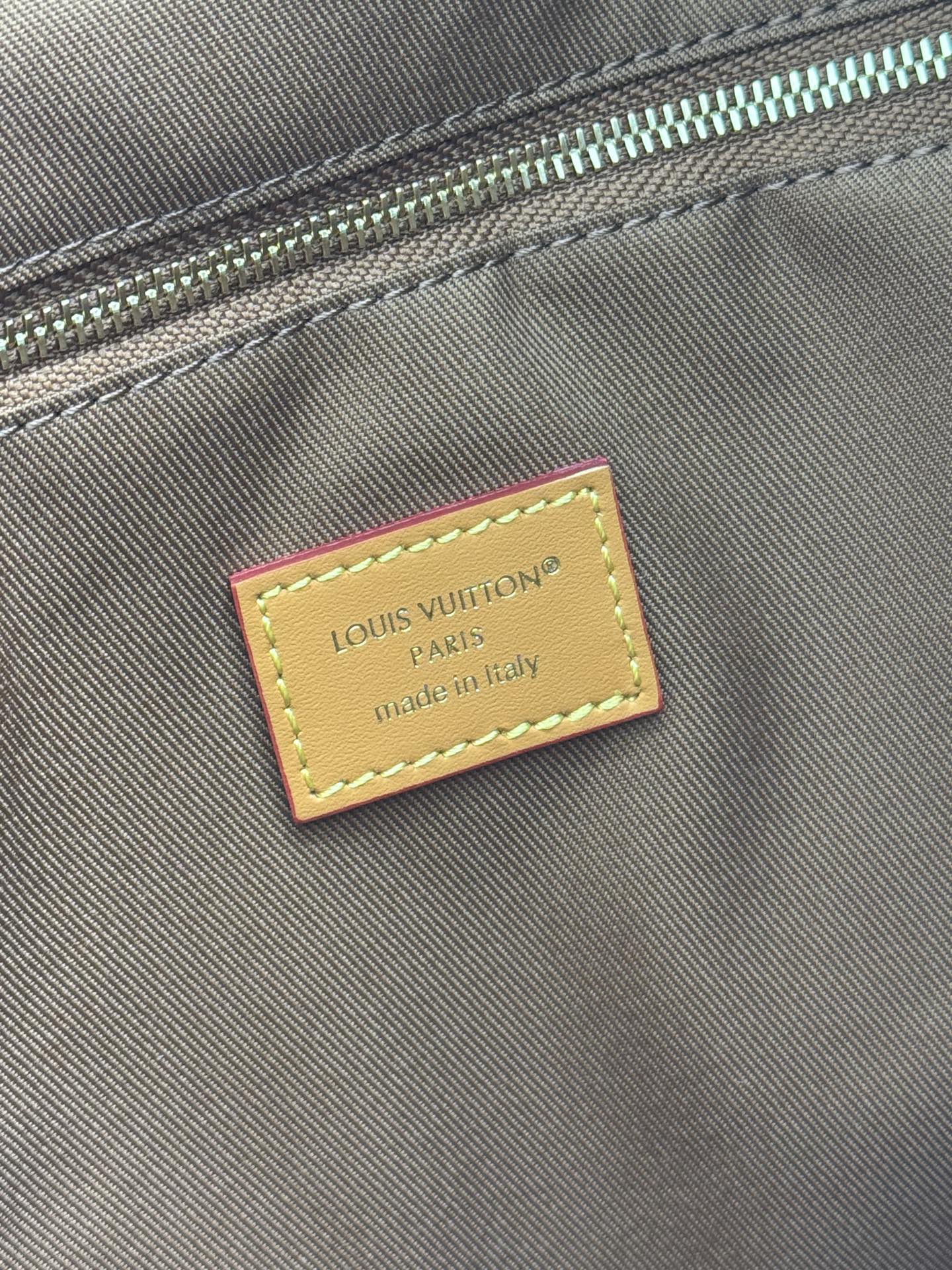 Louis Vuitton Métis Monogram Canvas Handbag - Image 9
