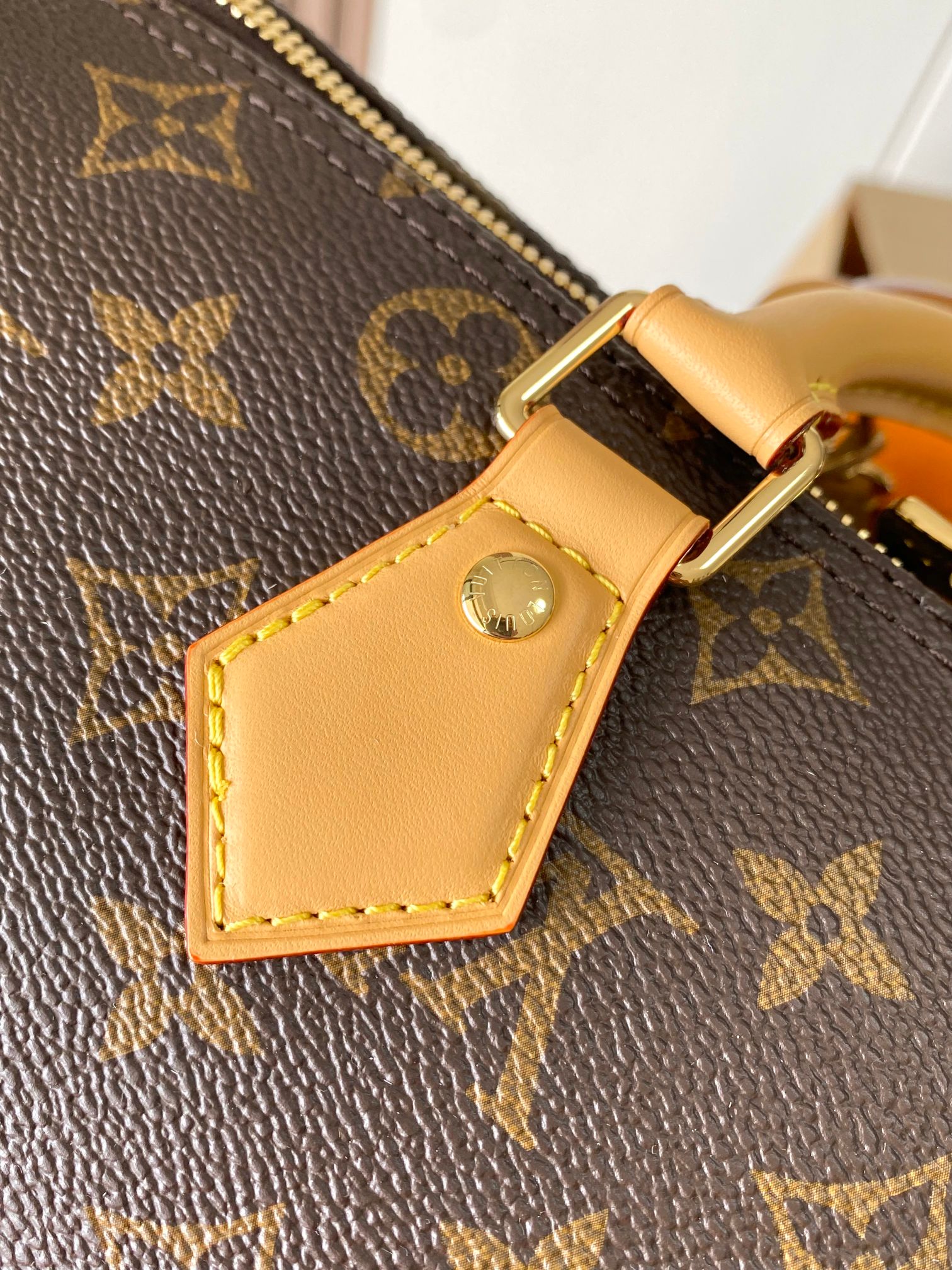 Speedy Soft 30 Lucky Handbag - Image 10